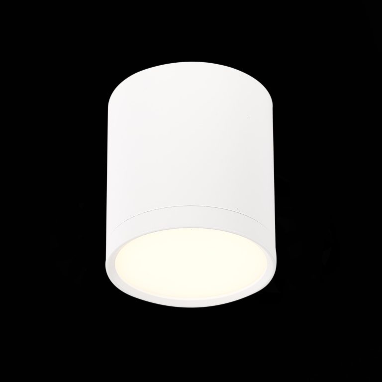 Потолочный светильник ST Luce Rene ST113.532.05