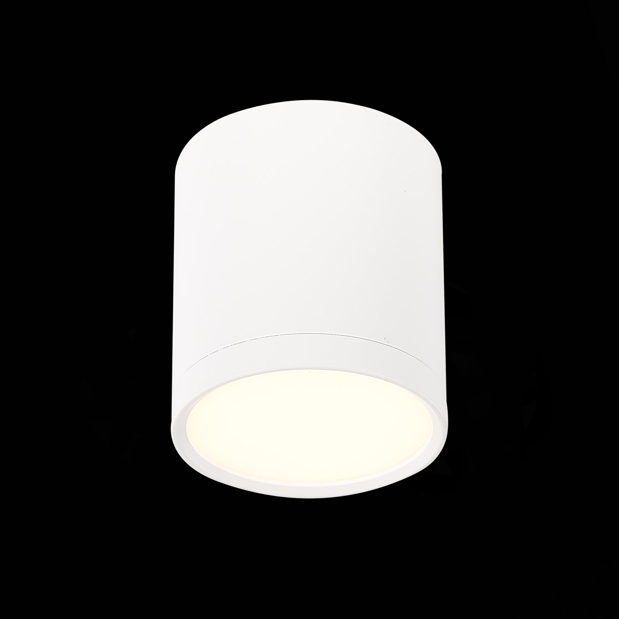 Потолочный светильник ST Luce Rene ST113.532.05 Потолочный светильник ST Luce Rene ST113.532.05