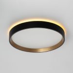Настенно-потолочный светильник Citilux Etalon CL750241