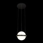 Подвесной светильник Loft IT Jardin 10121/A