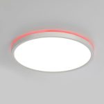 Потолочный светильник Citilux Norma CL749320