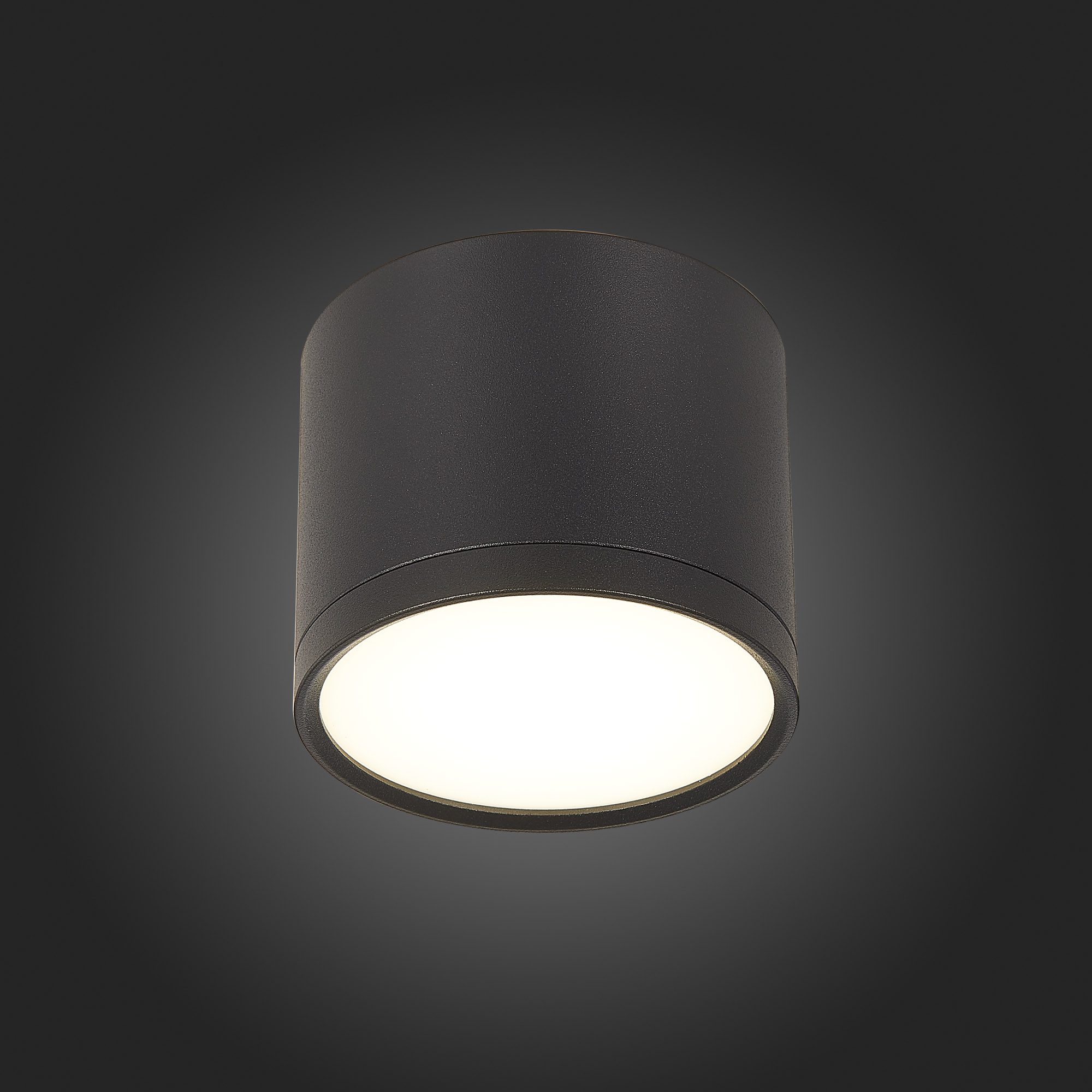 Потолочный светильник ST Luce Rene ST113.442.09 Потолочный светильник ST Luce Rene ST113.442.09