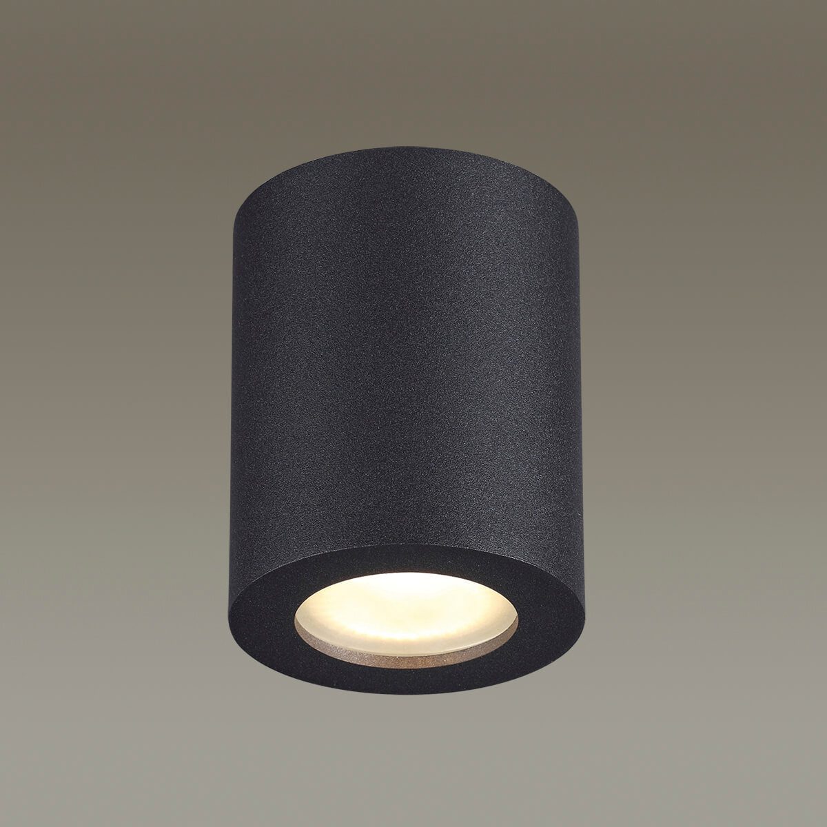 Потолочный светильник Odeon Light Aquana 3572/1C Потолочный светильник Odeon Light Aquana 3572/1C
