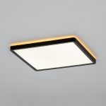 Потолочный светильник Citilux Norma CL748K301