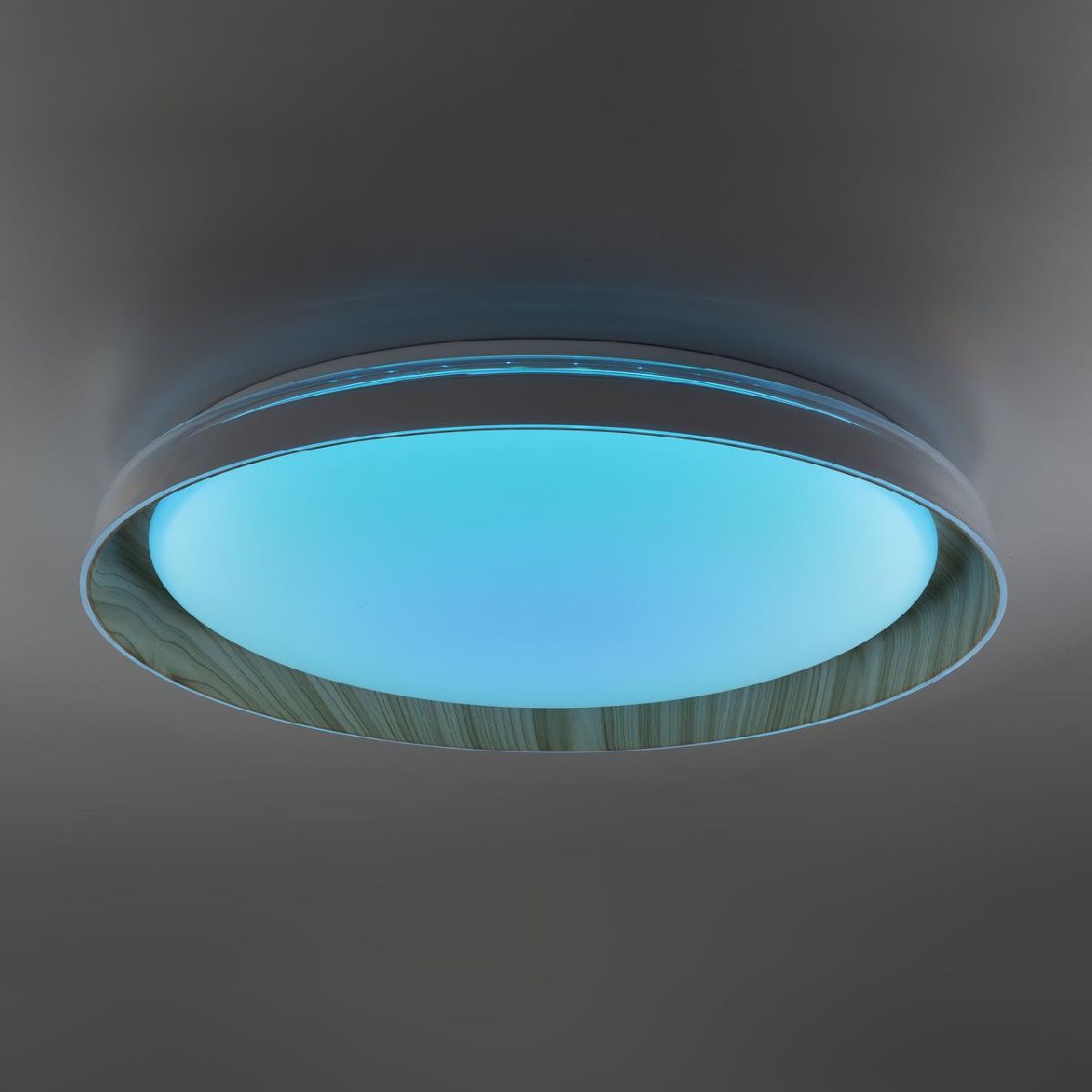 Потолочный светильник Citilux Mega CL752452G Потолочный светильник Citilux Mega CL752452G