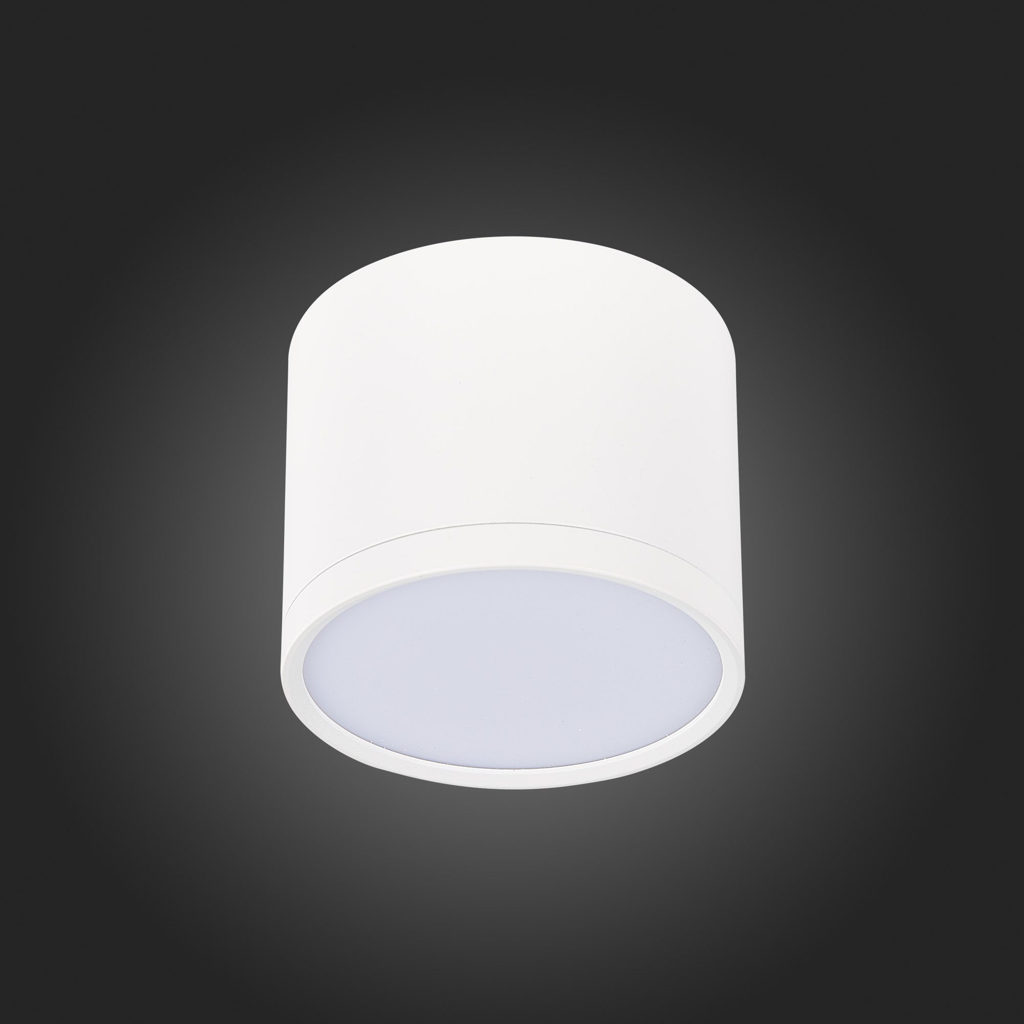 Потолочный светильник ST Luce Rene ST113.532.09 Потолочный светильник ST Luce Rene ST113.532.09