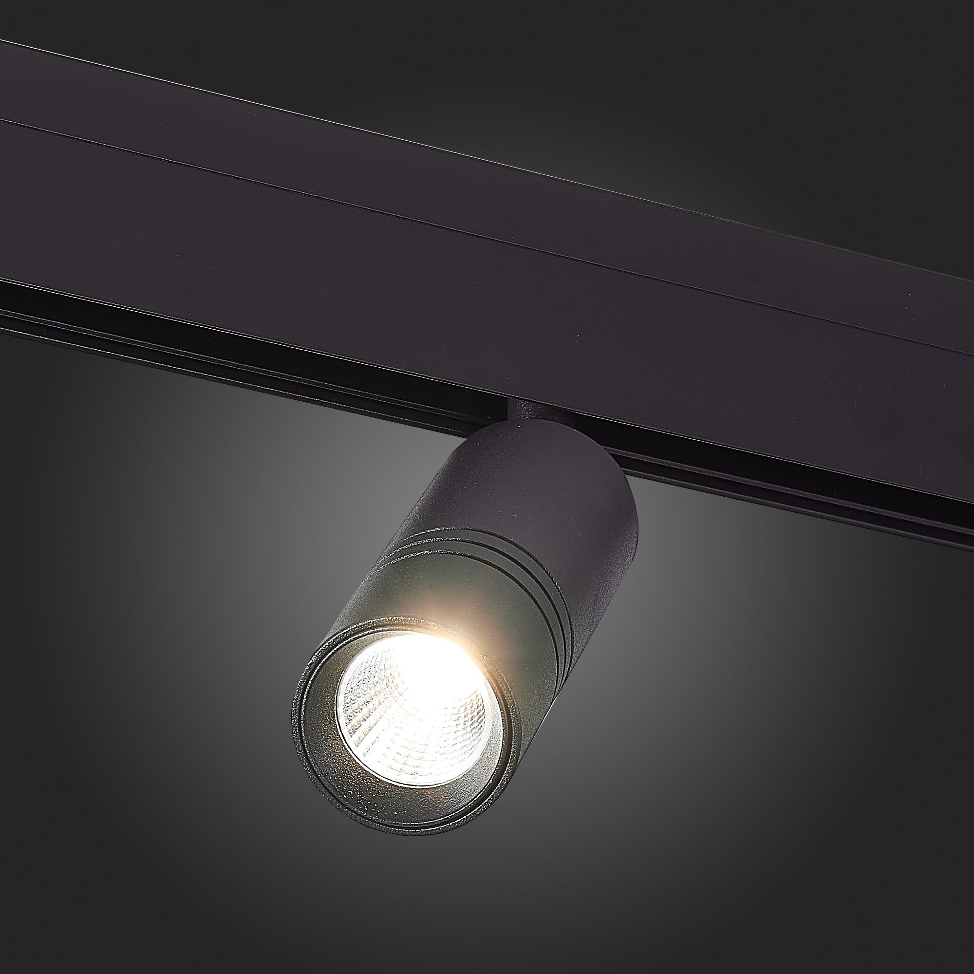 Трековый светильник ST Luce Lemmi ST365.436.12 Трековый светильник ST Luce Lemmi ST365.436.12