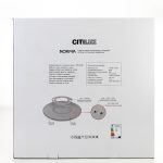 Потолочный светильник Citilux Norma CL748600