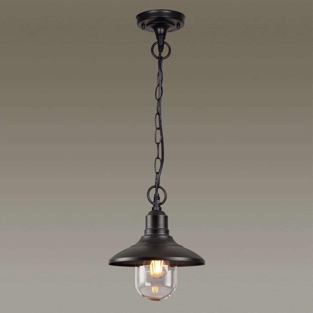Уличный подвесной светильник Odeon Light Campa 4965/1 Уличный подвесной светильник Odeon Light Campa 4965/1