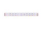 Светодиодная лента DesignLed DSG5120-24-RGB+WW-33 001134