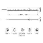 Светодиодная лента Gauss Basic 12В 2835 4,8Вт/м 4000K 2м IP20 BT001