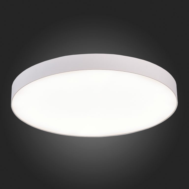 Потолочный светильник ST Luce ST606.542.96