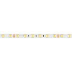Светодиодная лента Arlight RT-B60-10mm 24V Warm3000 (14.4 W/m, IP20, 5m) 028589(3)