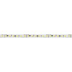 Светодиодная лента Arlight IC-A120-8mm 24V White6000 (9.6 W/m, IP20, 2835, 10m) 037963