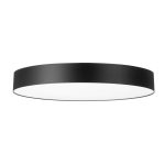 Потолочный светильник Citilux Bart CL755491