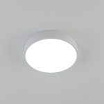 Потолочный светильник Citilux Купер CL72424V0