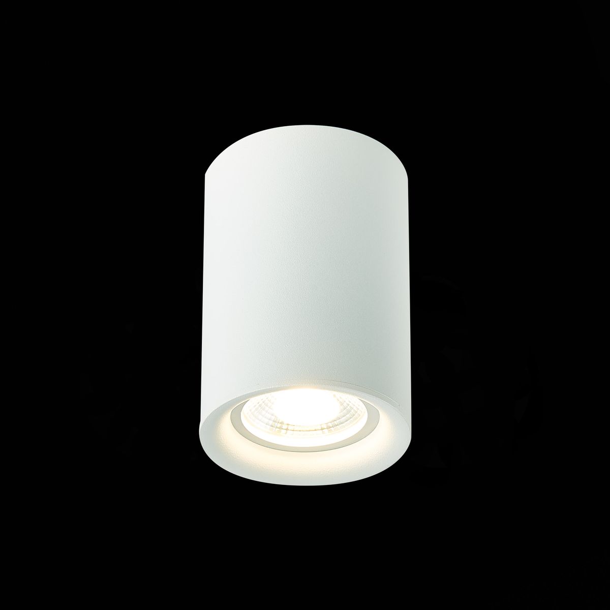 Накладной светильник ST Luce ST114 ST114.507.01 Накладной светильник ST Luce ST114 ST114.507.01
