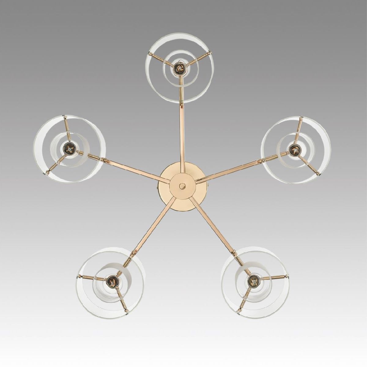 Потолочная люстра Lumion Verdi 6587/5C Потолочная люстра Lumion Verdi 6587/5C