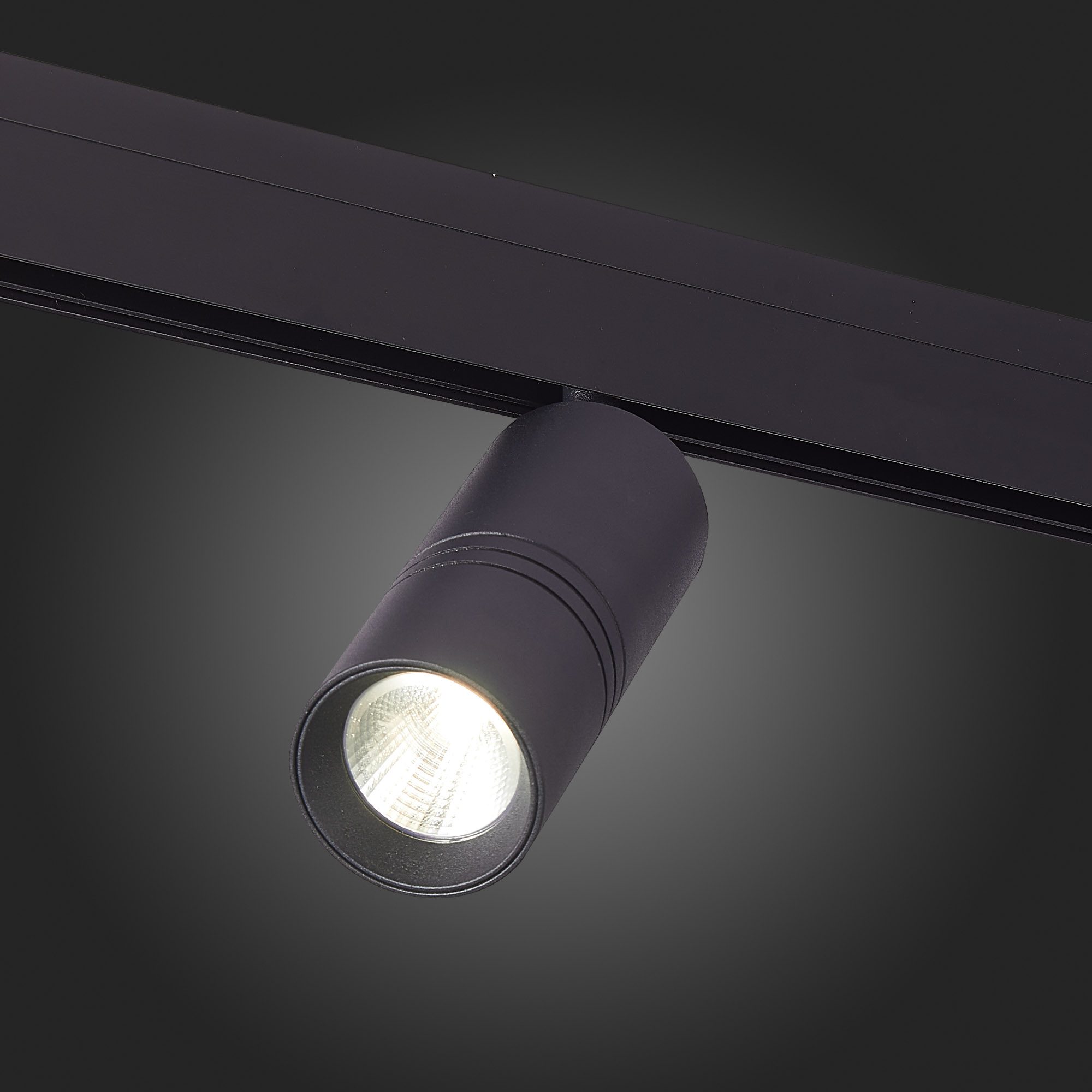 Трековый светильник ST Luce Lemmi ST365.436.18 Трековый светильник ST Luce Lemmi ST365.436.18