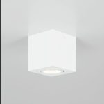 Потолочный светильник Citilux Дюрен CL538211