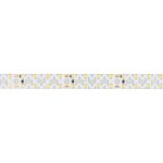 Светодиодная лента Arlight RZ-A160-15mm 24V White6000 (19.2 W/m, IP20, 2835, 5m) 036016