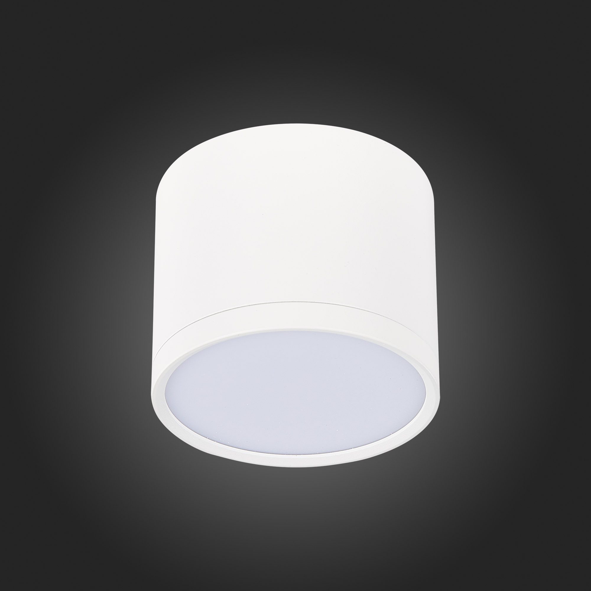 Потолочный светильник ST Luce Rene ST113.542.09 Потолочный светильник ST Luce Rene ST113.542.09