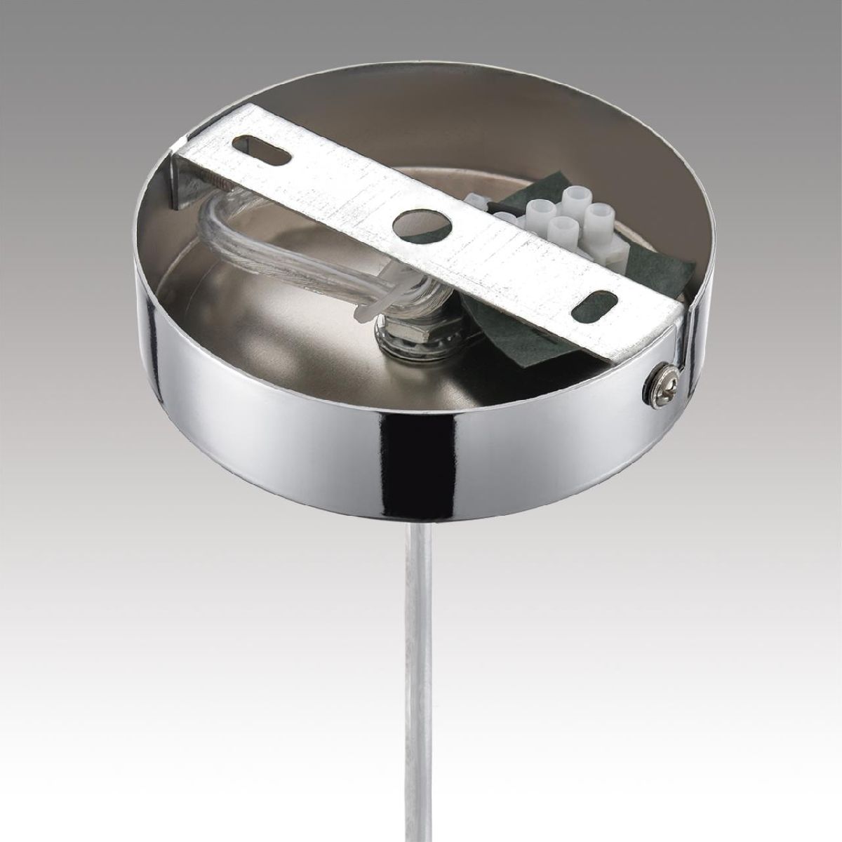Подвесной светильник Lumion Gallo 8066/1A Подвесной светильник Lumion Gallo 8066/1A