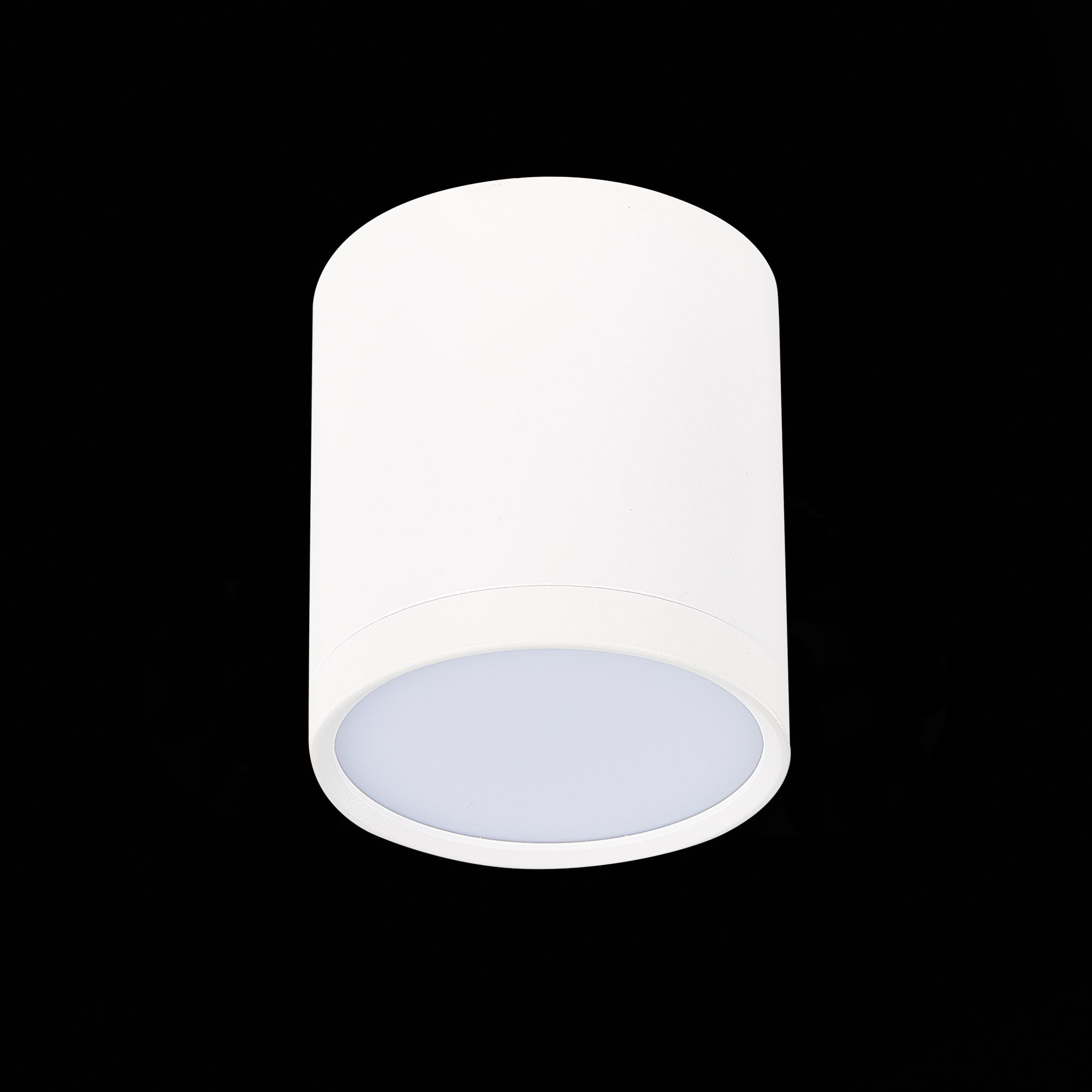 Потолочный светильник ST Luce Rene ST113.532.05 Потолочный светильник ST Luce Rene ST113.532.05