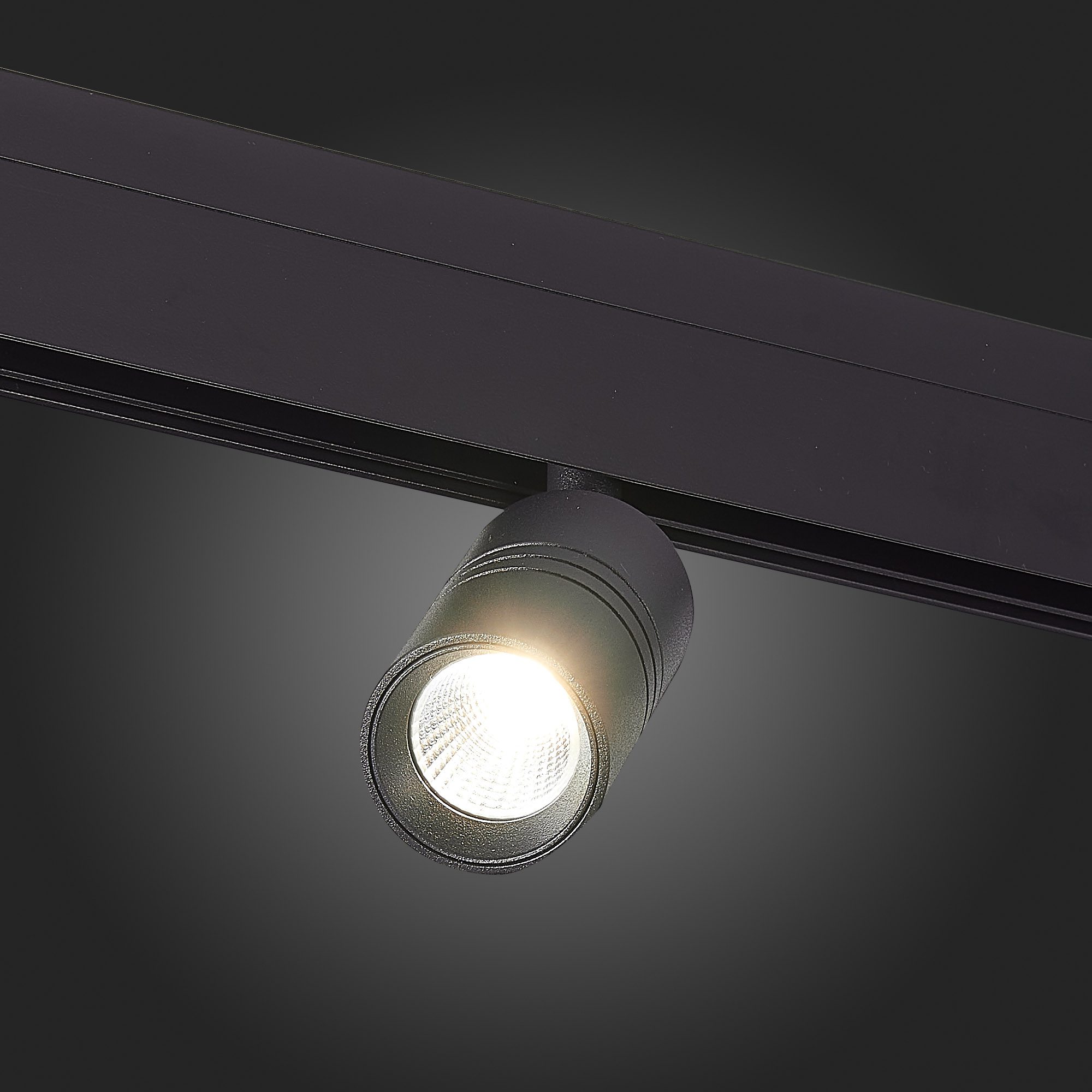 Трековый светильник ST Luce Lemmi ST365.446.07 Трековый светильник ST Luce Lemmi ST365.446.07