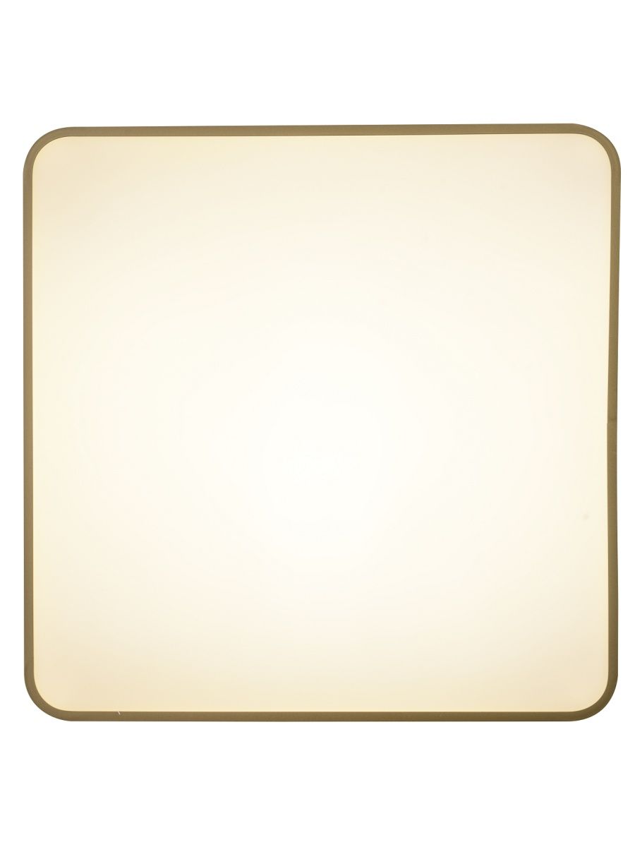Потолочный светильник Zortes Gabby ZRS.1215.04 Потолочный светильник Zortes Gabby ZRS.1215.04