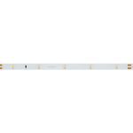 Светодиодная лента Arlight RT 2-5000 3528 019916(1)