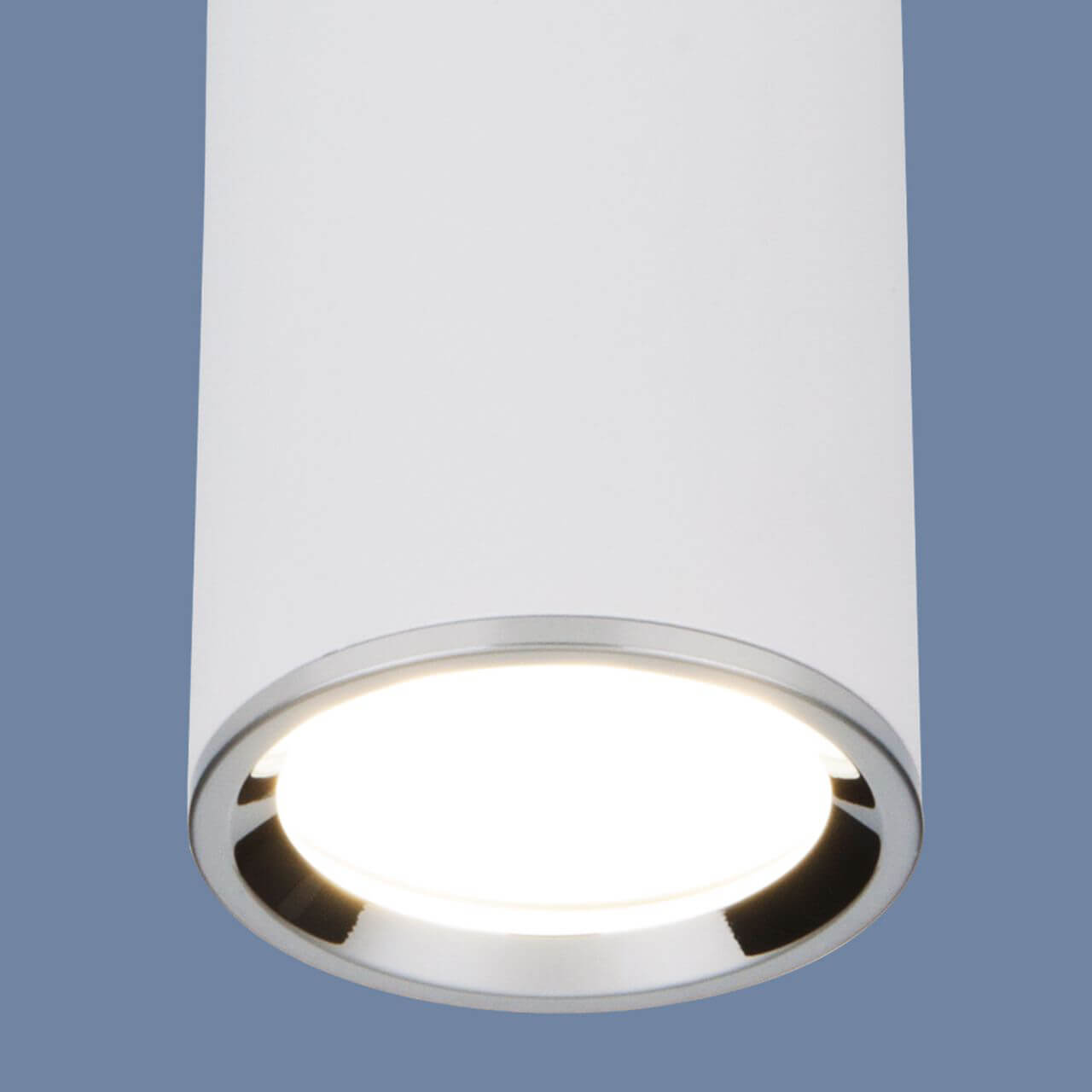 Потолочный светильник Elektrostandard DLN101 GU10 WH белый 4690389135859 Потолочный светильник Elektrostandard DLN101 GU10 WH белый 4690389135859