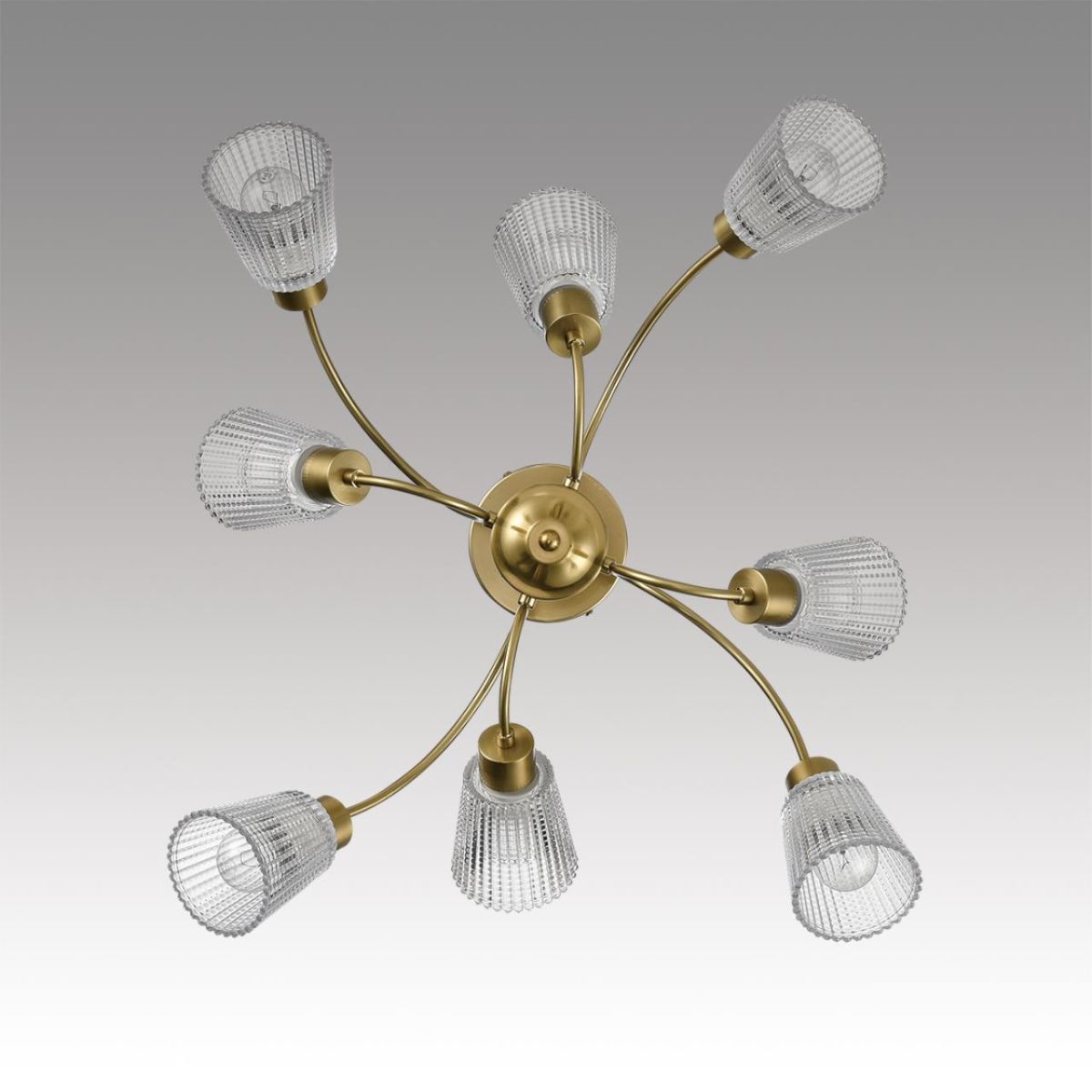 Люстра на штанге Lumion Comfi Imana 8154/8C Люстра на штанге Lumion Comfi Imana 8154/8C