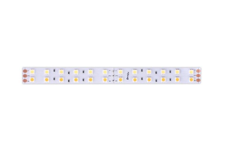 Светодиодная лента DesignLed DSG5120-24-W+WW-33 000515