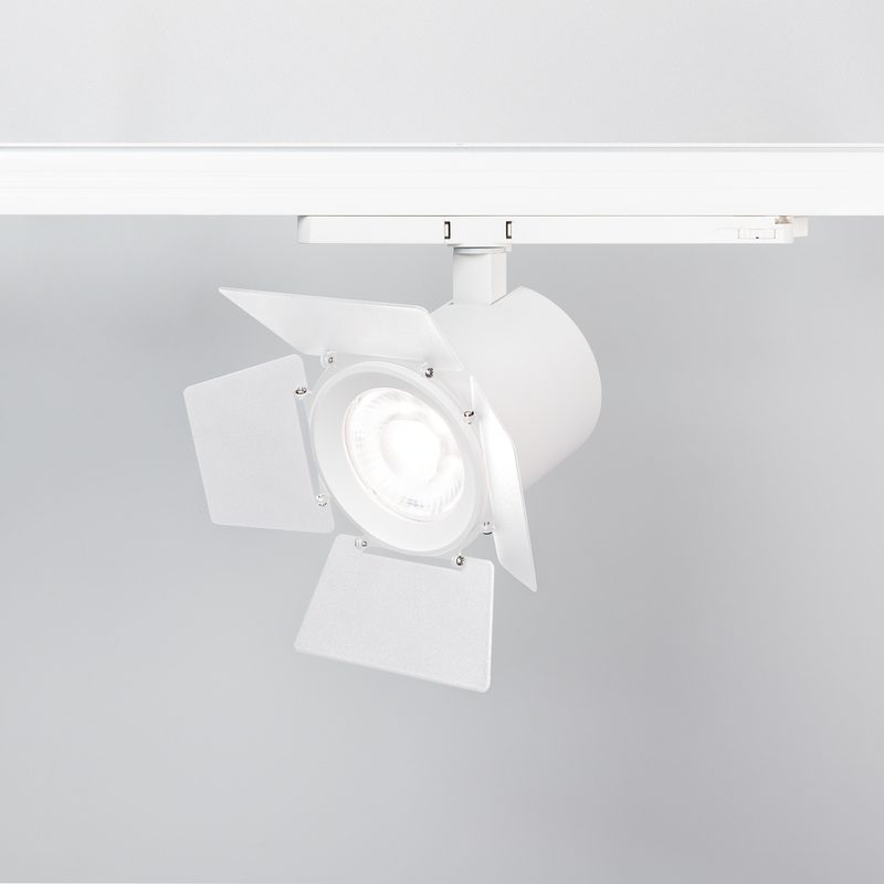 Бленда с посадочным кольцом Arlight LGD-NIKA-BDR-R100 (WH) 036006 Бленда с посадочным кольцом Arlight LGD-NIKA-BDR-R100 (WH) 036006