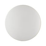 Настенно-потолочный светильник Sonex Smalli 3066/AL