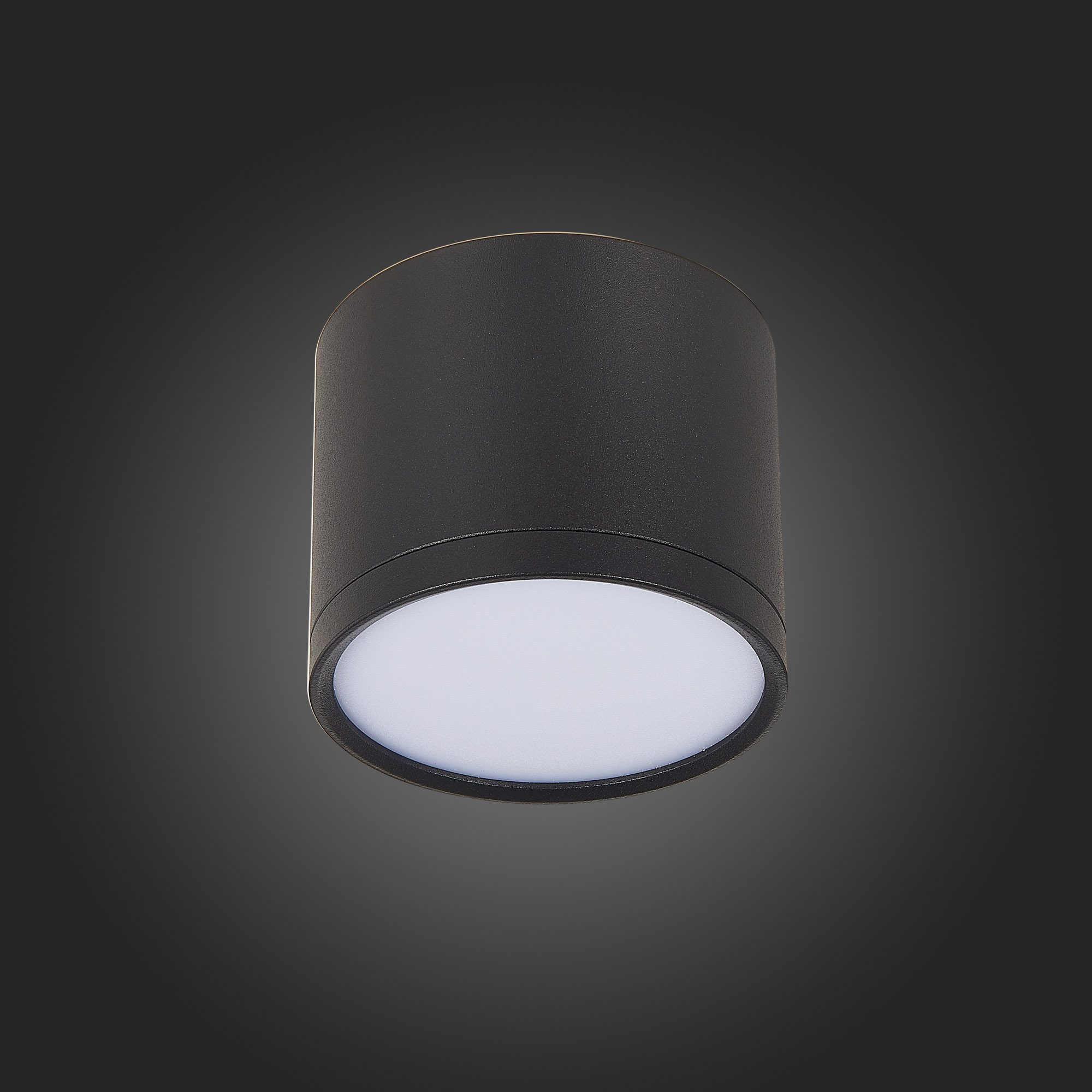 Потолочный светильник ST Luce Rene ST113.432.09 Потолочный светильник ST Luce Rene ST113.432.09