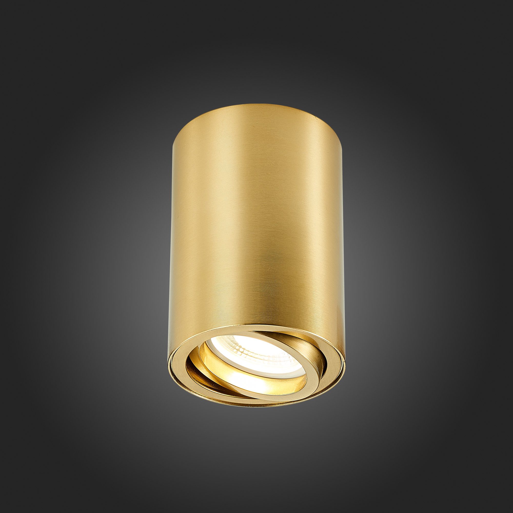 Накладной светильник ST Luce ST108 ST108.207.01 Накладной светильник ST Luce ST108 ST108.207.01