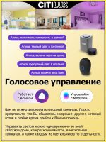 Потолочный светильник Citilux Триест CL737A44E