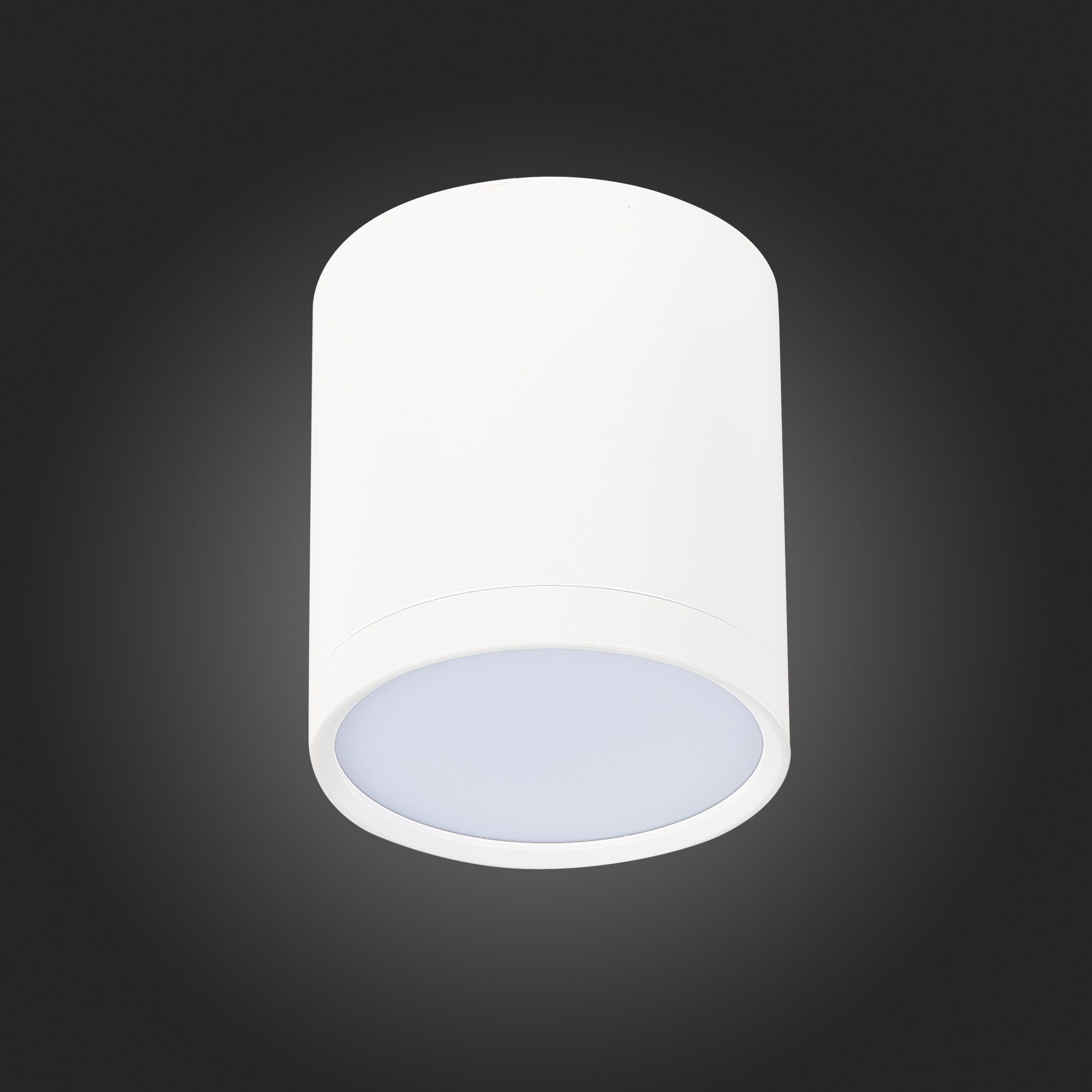 Потолочный светильник ST Luce Rene ST113.532.05 Потолочный светильник ST Luce Rene ST113.532.05
