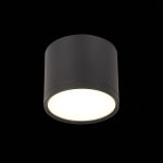 Потолочный светильник ST Luce Rene ST113.442.09