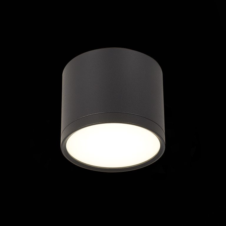 Потолочный светильник ST Luce Rene ST113.442.09