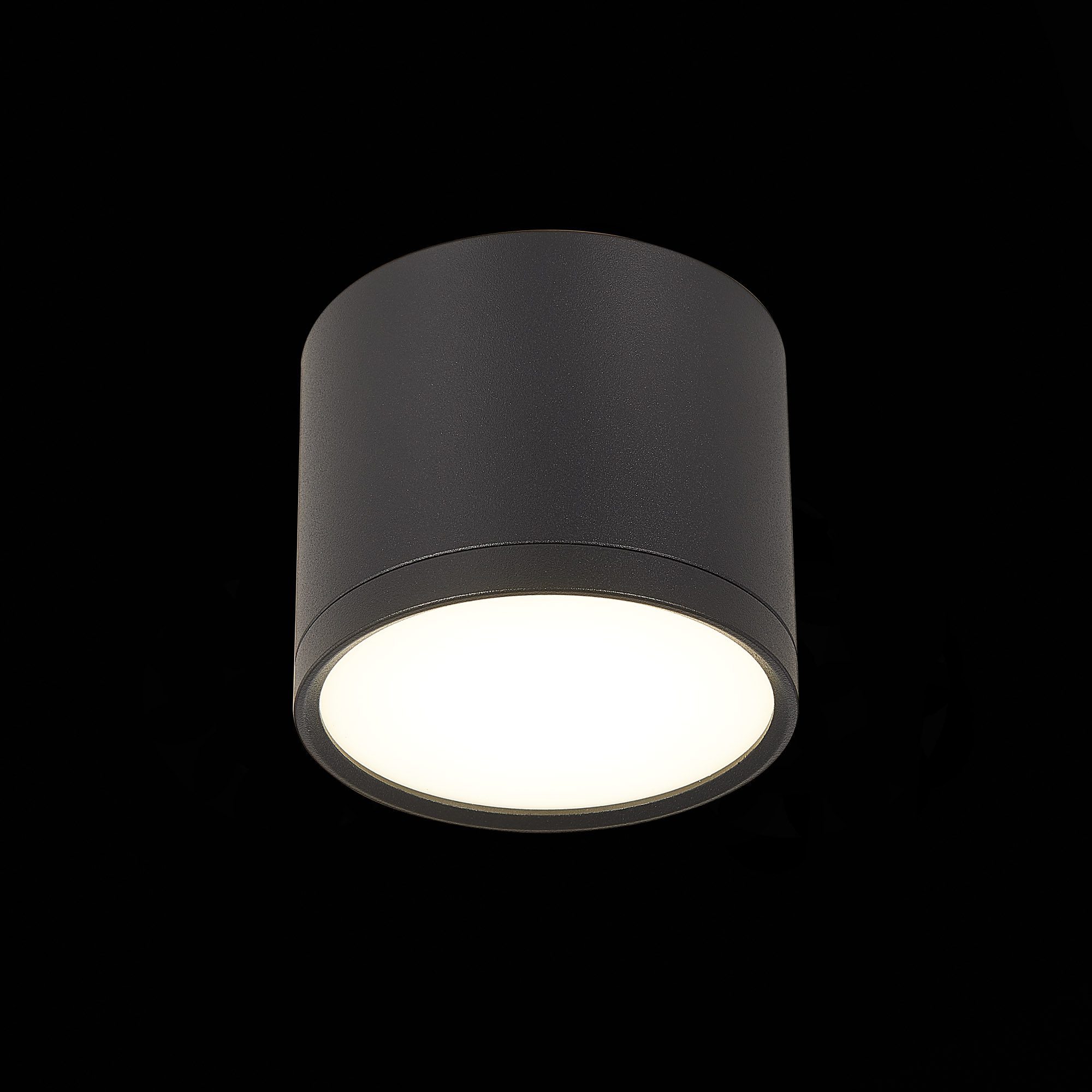 Потолочный светильник ST Luce Rene ST113.442.09 Потолочный светильник ST Luce Rene ST113.442.09