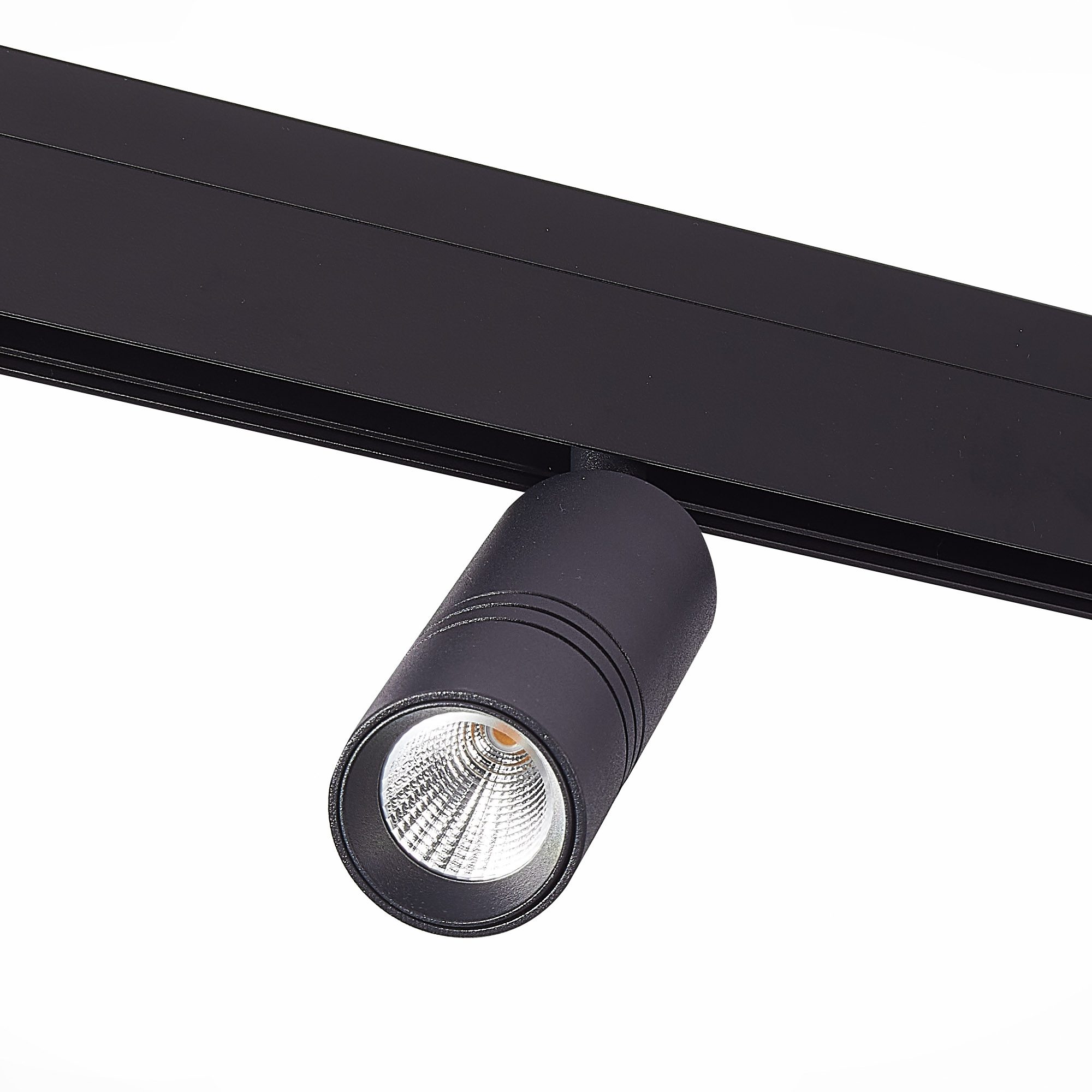 Трековый светильник ST Luce Lemmi ST365.436.12 Трековый светильник ST Luce Lemmi ST365.436.12