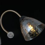 Люстра на штанге Illumico IL0230-3CSQ-29 BK AB