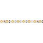 Светодиодная лента Arlight RT-A240-10mm 24V Warm-MIX (20 W/m, IP20, 2835, 5m) 038400