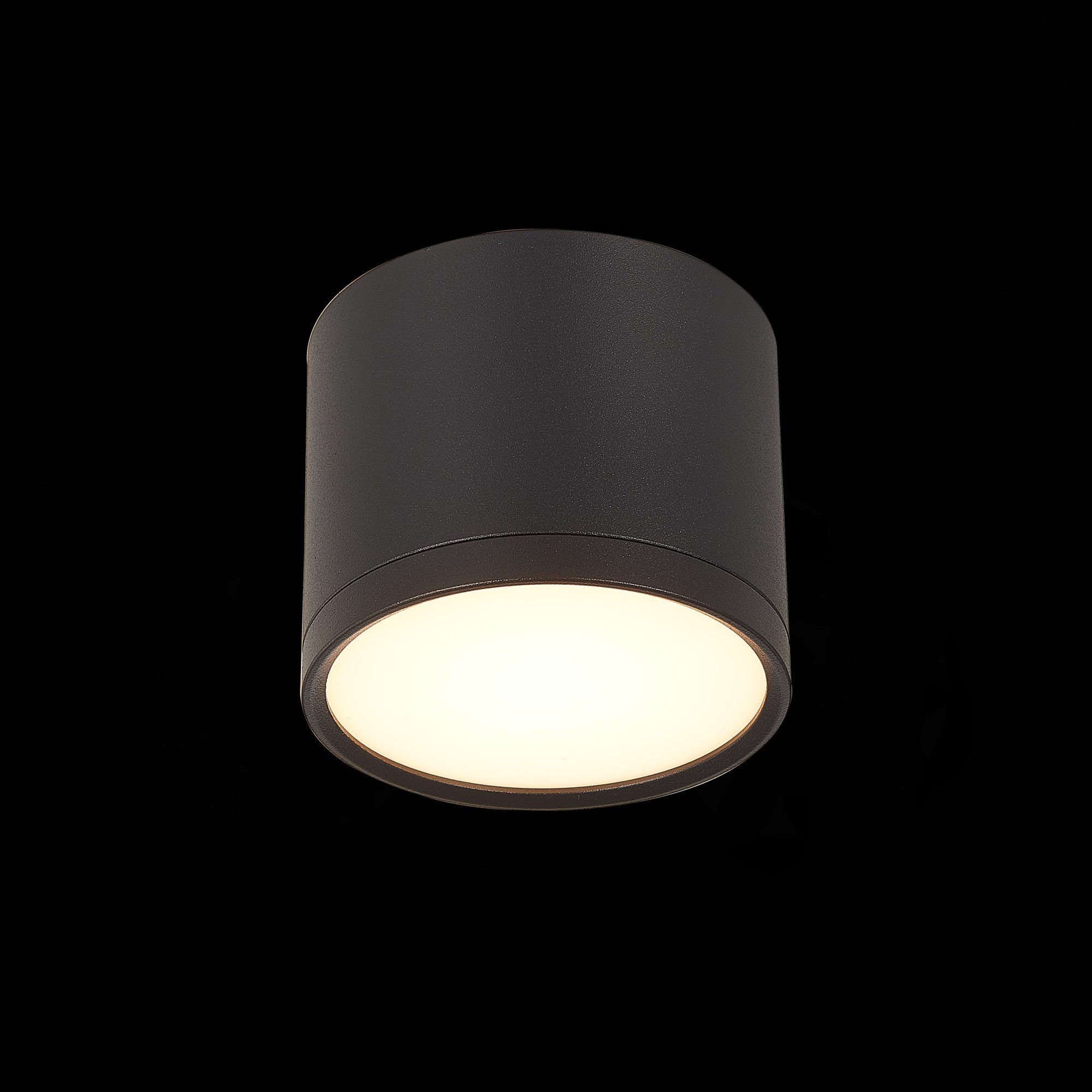 Потолочный светильник ST Luce Rene ST113.432.09 Потолочный светильник ST Luce Rene ST113.432.09