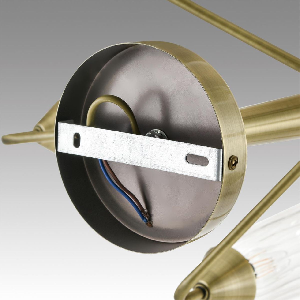 Люстра на штанге Lumion Doliana 6584/8C Люстра на штанге Lumion Doliana 6584/8C