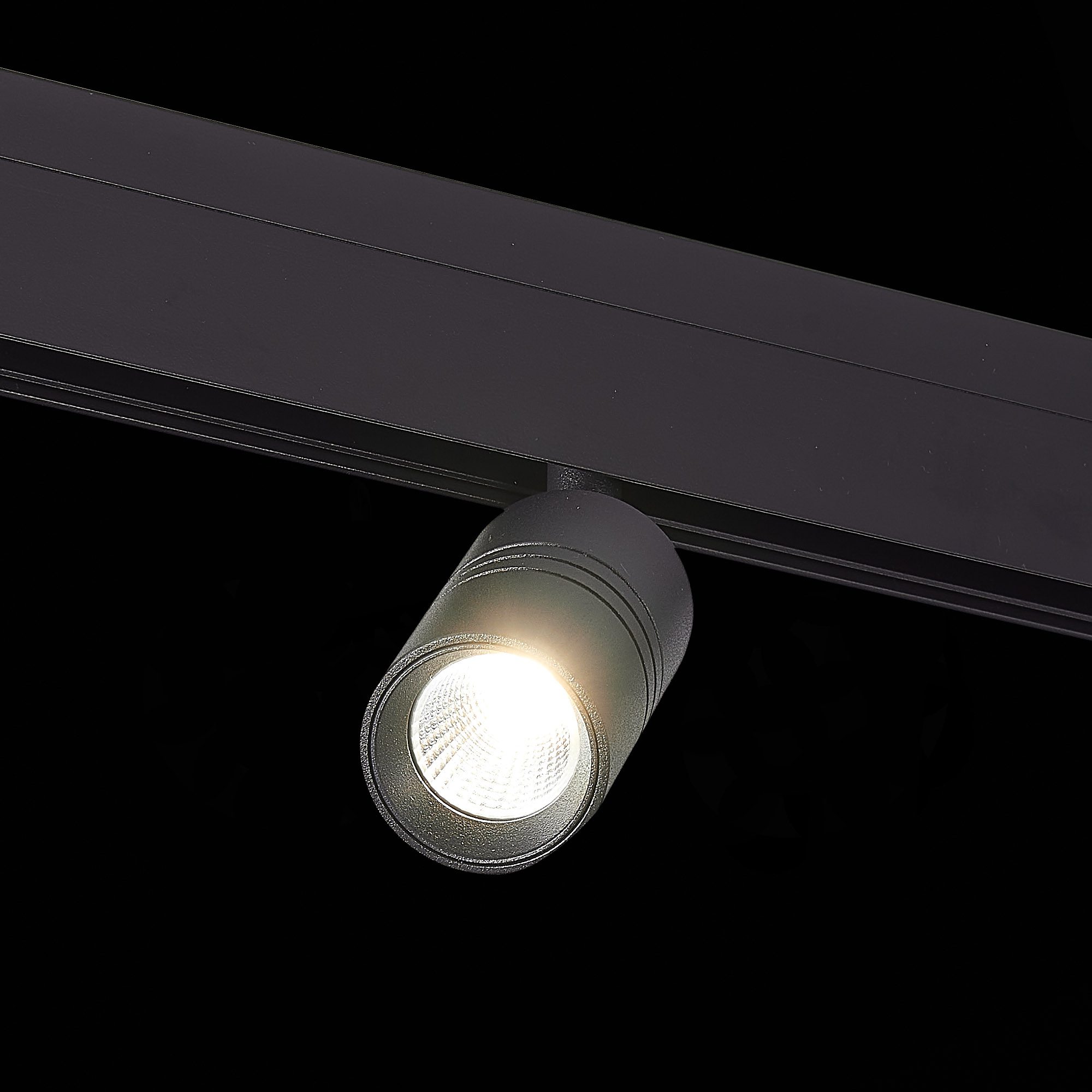 Трековый светильник ST Luce Lemmi ST365.446.07 Трековый светильник ST Luce Lemmi ST365.446.07
