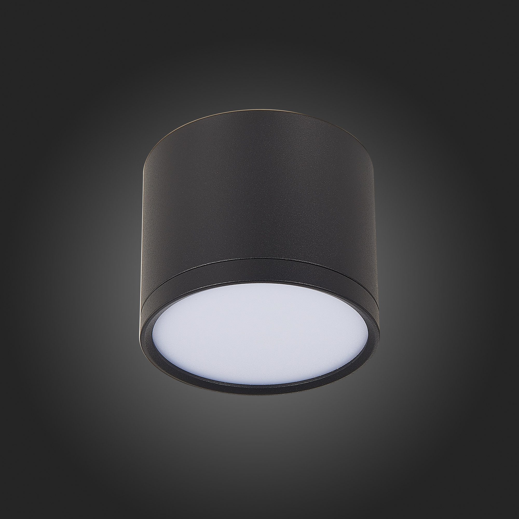 Потолочный светильник ST Luce Rene ST113.442.09 Потолочный светильник ST Luce Rene ST113.442.09